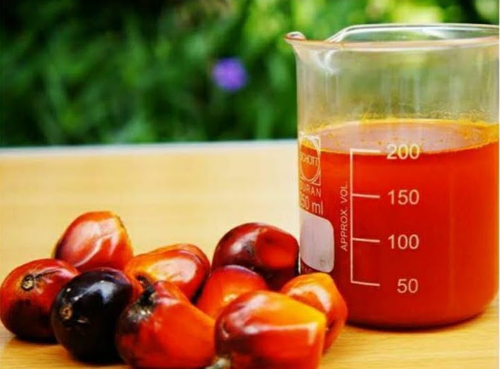 L’huile De Palme : L’huile Végétale La Plus Consommée