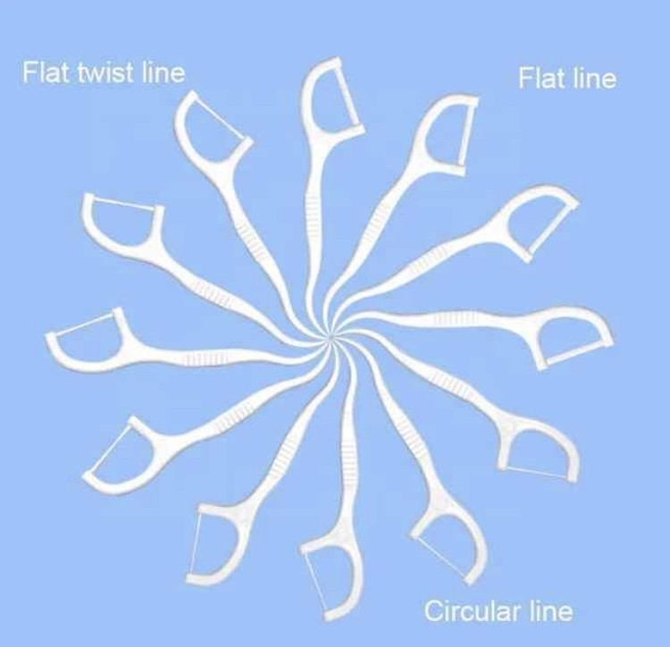 Nettoyage dentaire Fresh up dentaire soie dentaire pique la menthe / saveur originale avec Cure-dent 200 Pièces