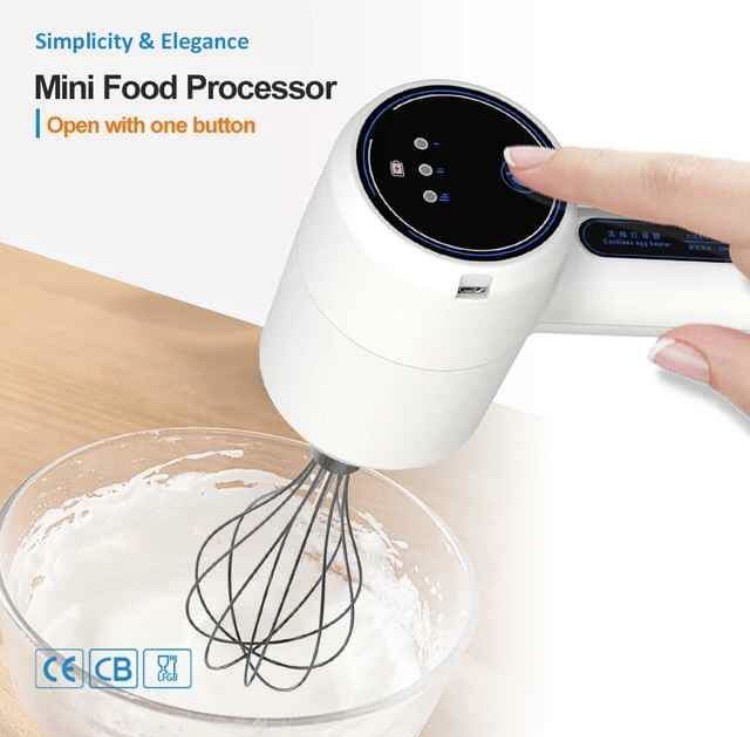 Fouetteuse Rechargeable pour Mayonnaise