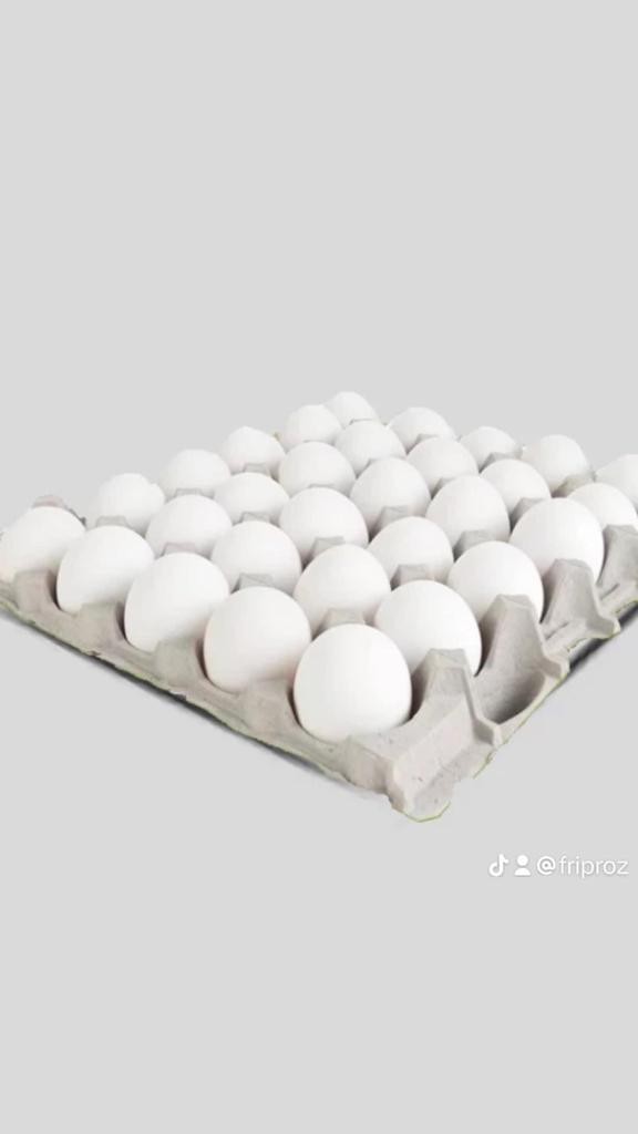 Palette D'œufs Frais  Blanc