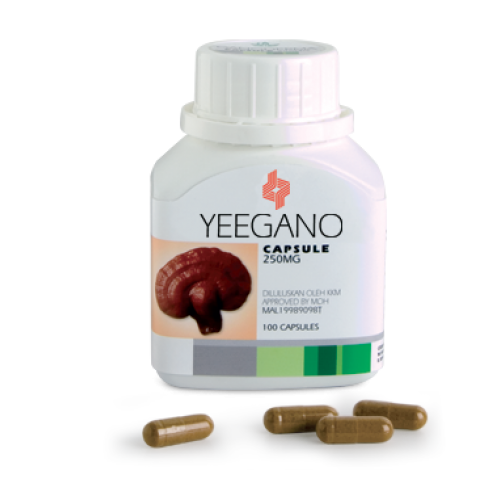 YEEGANO (GANODERMA CAPSULE)