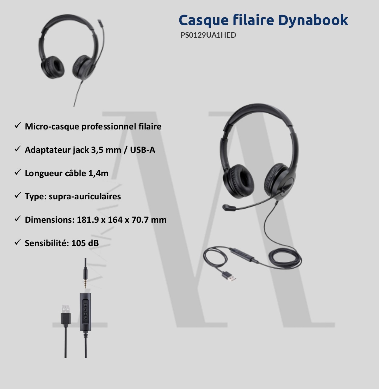 Casque Dynabook