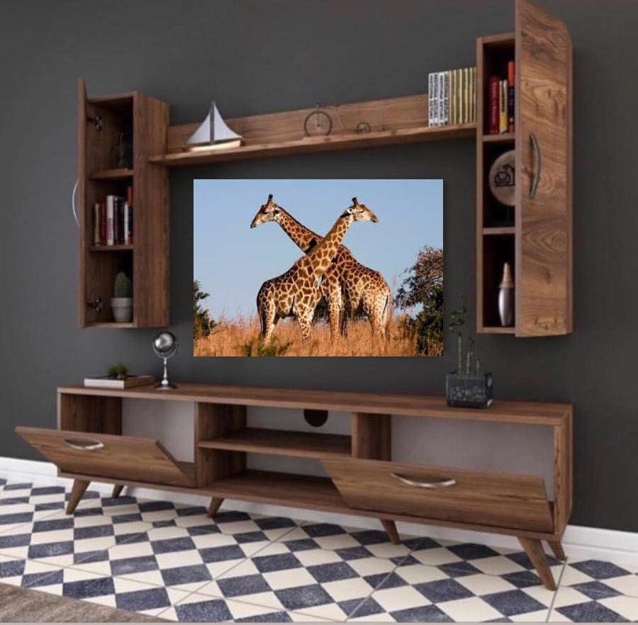 Décor Meuble Tv Avec Deux Compartiments