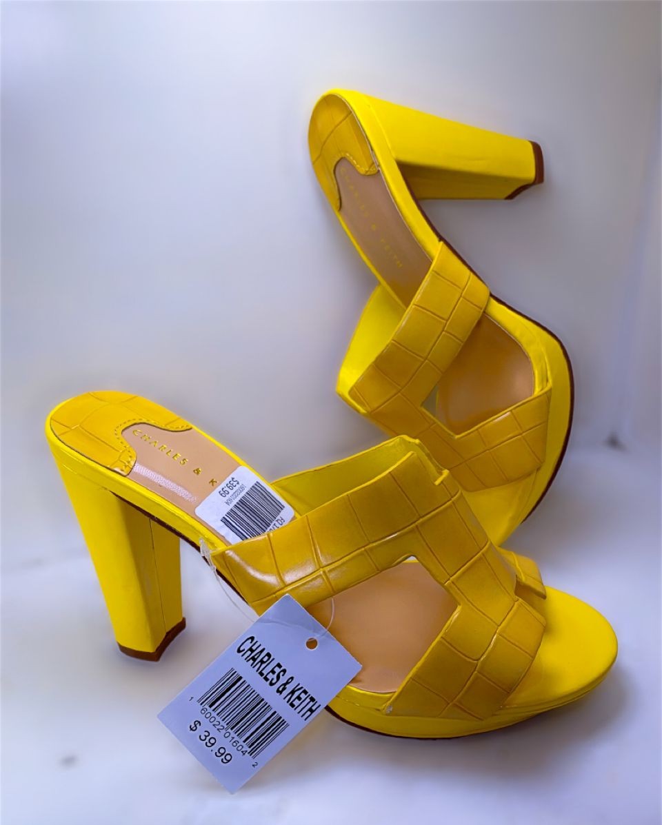 Chaussures Charles Et Keith Femmes Avec Talons Très Class Pour Pour Les Grandes Dames Une Apparence À Haute Niveau Pour Les Cérémonies